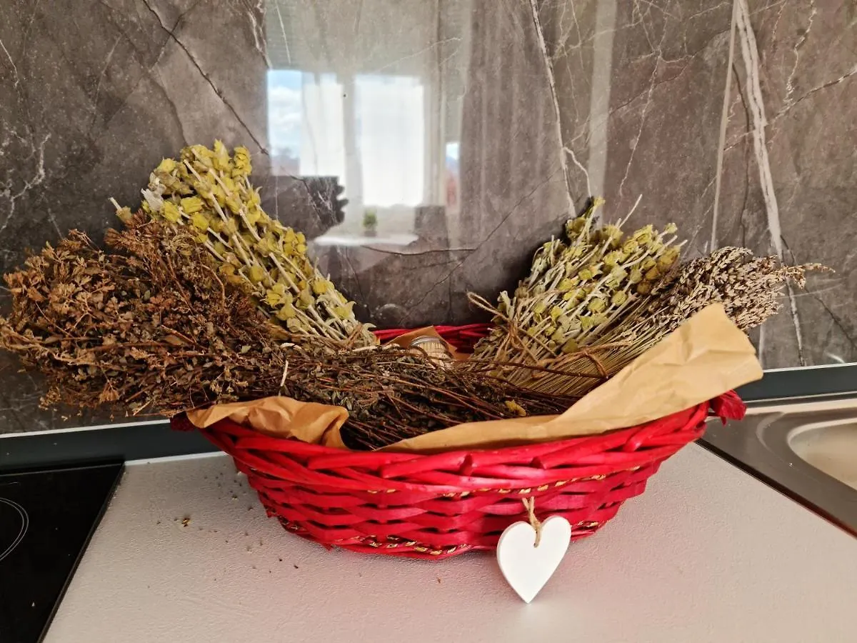 Lovely One Bedroom Studio In Tirana 0*,  Albanien